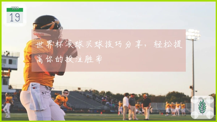 世界杯滚球买球技巧分享，轻松提高你的投注胜率