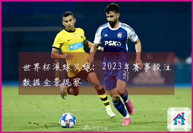 世界杯滚球买球：2023年赛事投注数据全景观察