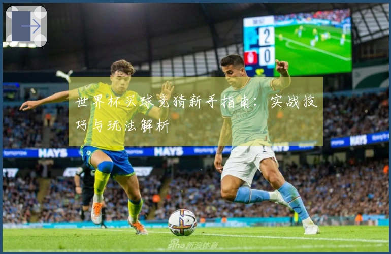 世界杯买球竞猜新手指南：实战技巧与玩法解析