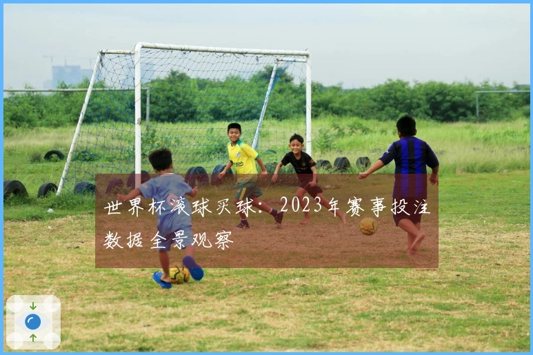 世界杯滚球买球：2023年赛事投注数据全景观察
