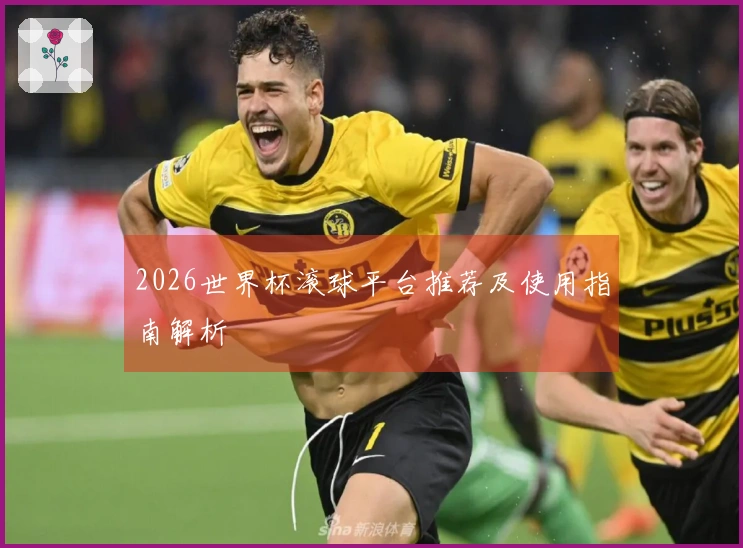 2026世界杯滚球平台推荐及使用指南解析